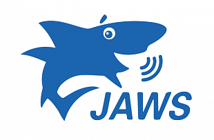 Программное обеспечение экранного доступа «JAWS for Windows 18.0 Pro»